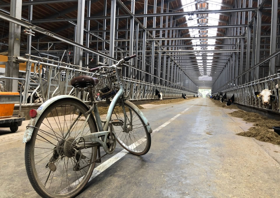 牛舎と自転車